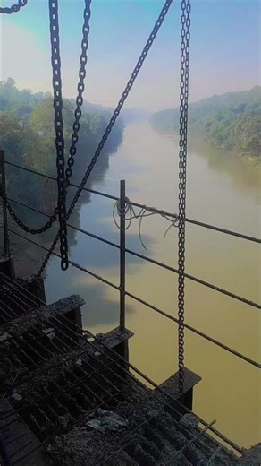 #bhojpuri #lifeisbutadream #bhojpurisong #ihavethisthingwithplants