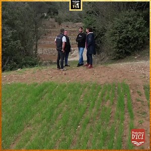 260 reactions · 17 shares | #TOP14 #XVdesProducteurs Quand Christian...