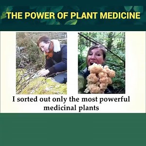 16K reactions · 7.6K shares | Throwing natural healing plants in the...