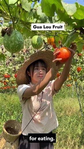 This “Rotten” Fruit Turns Into a Crunchy Snack 🤯