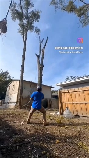 Tight quarters. Big branches. Zero room for mistakes.  These water...