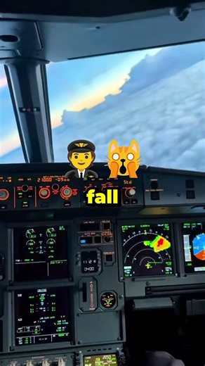 The Plane That Lost All Engines Mid-Air #airplane #viral #shorts #ytshorts #aviation