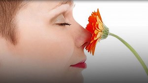 10K views | A new research has revealed how smell loss associated with COVID-19 infection differs from what you typically might experience with a bad cold or flu. | The Times of India | Facebook