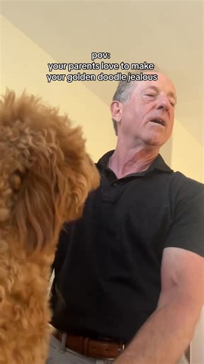 3.3K views · 52 reactions | Dogs refuse kisses between parents#dog#funny#funnyanimals#funnypets#animals #dogsofttiktok #pet #foryou #longervideos | Pets Funny Videos | Facebook