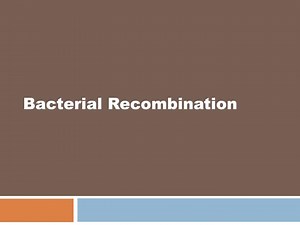 Bacterial Recombination - SlideServe