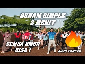 Senam Aerobik Pemula 3 Menit ｜Gerakan Simple Tanpa Lompat Untuk Semua Umur