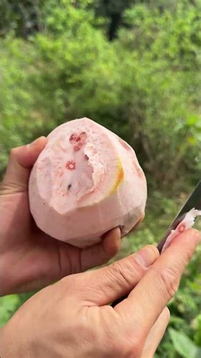 Backyard Pomelo Cutting ASMR