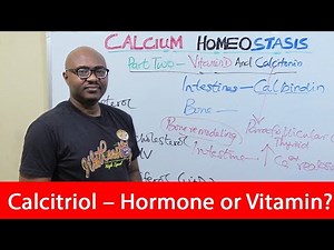 Calcium Homeostasis – Vitamin D & Calcitonin | Disorders