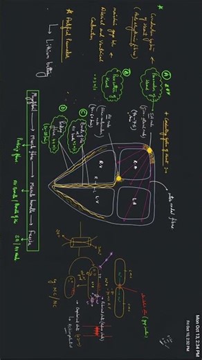 #SA Node (Pacemaker) & AV Node(Pacesatter) #NEETAspirants #BiologyMadeEasy#neetbadka