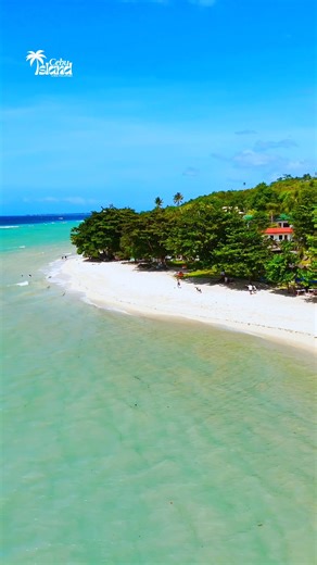 Whitesand beach in Lambug Beach, Badian Cebu, Philippines✨🌊🇵🇭 #LambugBeach #BadianCebu #CebuIslandGuideph #CebuHiddenGem #IslandEscape | Cebu Island Guide