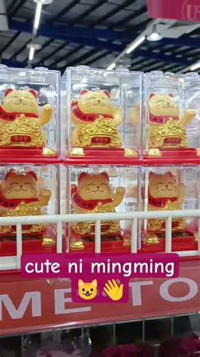 Chinese Miniature Solar Waiving Cat😼😸💗 #luckycharm #luckycat #waivingcat #cute #cutiecat