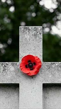 November 11 – Remembering the Heroes of World War II