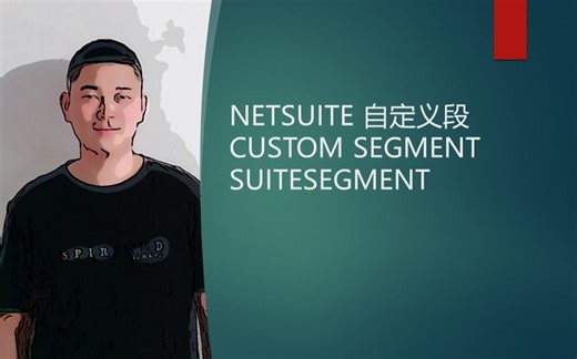 NETSUITE 自定义段 CUSTOM SEGMENT SUITESEGMENT