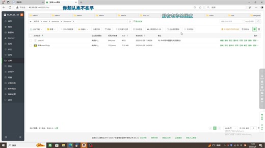 2025苹果cmsV10高级自适应视频模板