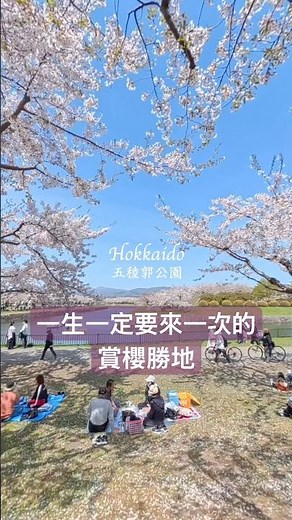 北海道最浪漫的櫻花聖地 | 函館五稜郭公園