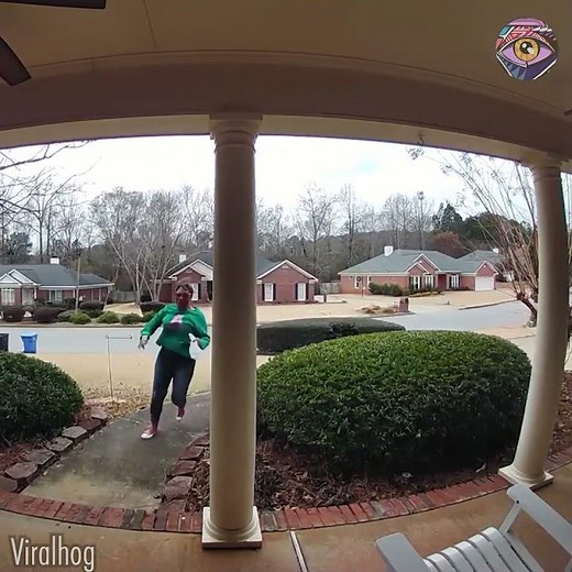 Goose Gang Ambush Caught on Camera 😭🪿 | Funny Animal Chase