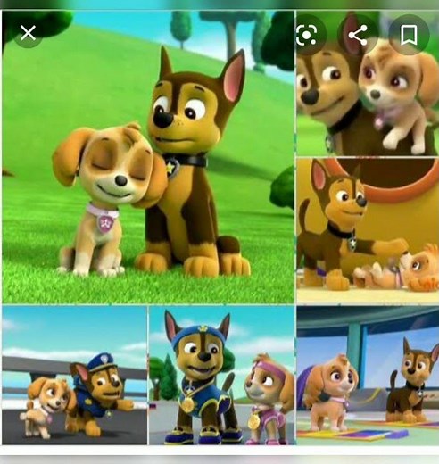 paw patrol chase X skye tribute