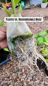 Plastic vs BIODEGRADABLE Bags (The Results Will Shock You!) 🤯
