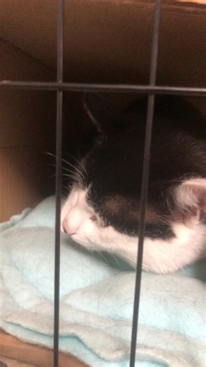 FNI (@xbpemlfvkvge6v)’s videos with Photograph - Ed Sheeran