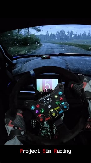 47K views · 287 reactions | POV EA Sports WRC x Triple screen sim racing setup Project Sim Racing #wrc #rally | Virtual Motorsports Studio | Facebook