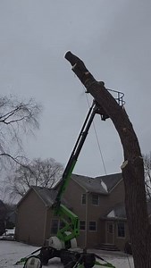 Team work makes the dream work! Rigging these big logs down to minimize lawn damage! Nice work Chris and Ethan! | Expert Tree Service and Science