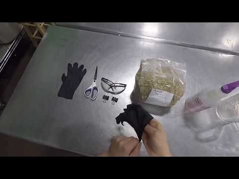 How to Grow Mycelium Material: Step 1