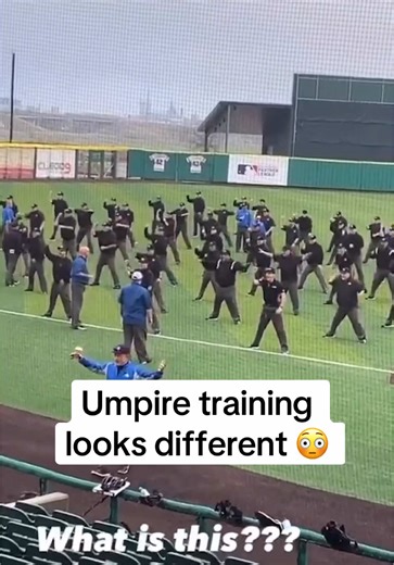 Unique Umpire Training Techniques for Improved Performance