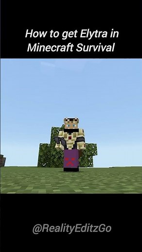 Minecraft #minecraft #funny #memes