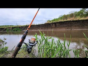 Catfishing a TINY STREAM!! (Bank Fishing)