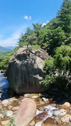 도토리님이 극찬한 캠핑장, 거대한 바위 끝에 소나무 한그루