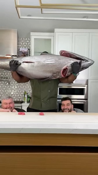 Tuna DAMMIT! ​⁠‪@albert_cancook‬ ​⁠‪@patrickzeinali‬ #sushi #fish #recipe #cooking #foodie #japan