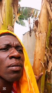 3.8K views · 255 reactions | La nature de l'homme | Gogobi | Facebook