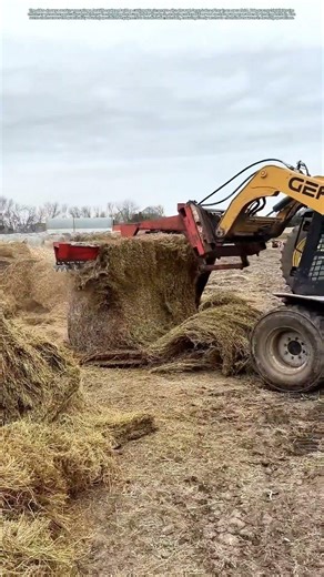 Cutting Through the Hay: How Modern Machinery Simplifies Agricultural Tasks #shorts