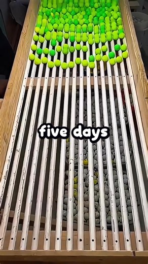 1.2K views · 20 reactions | I almost put my neighbor_s children in danger( | voron tv | Facebook