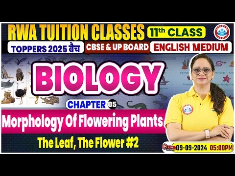 Class 11 Biology Chapter 5 | Morphology Of Flowering Plants By Vandana Mam