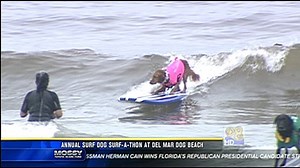 Annual surf dog surf-a-thon at Del Mar Dog Beach