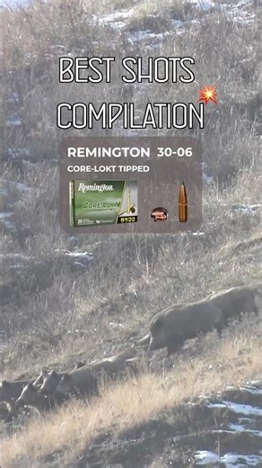 💥 Best of chasse : compilation de tirs de gibier spectaculaires #hunting #chasse #huntingguide