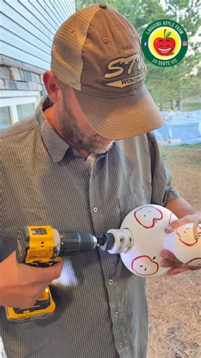 We love gourds! They are interesting and fun shaped and can last. We dried this one over winter, painted it, drilled a hole and varnished it. #laughingapplefarm #gourds #gourdart | Laughing Apple Farm
