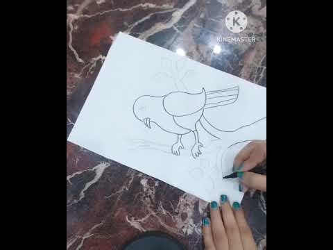 How to draw outline of bird | Beginners |Step by step