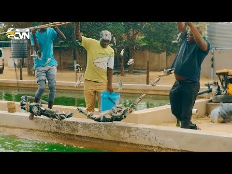 How he built a successful fish farming project with just USD 2,000 on 1 hectare in Dema