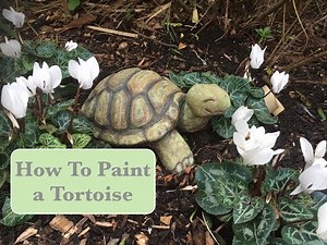 How to Paint a Tortoise for Your Garden