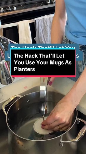 Jenny put this DIY planter hack to the test and it really works! This DIY hack is a great method to recycle your older mugs into planters with a drainage hole for any plant. Enjoy creating your new planter, just be careful when hammering. Want to use a drill instead? Tap the link for step-by-step directions to drilling a drainage hole in any ceramic container. 🪴☕ #TheSpruce #plants #plantmom #plantparent #garden #hack #diy #houseplant #thrift #giftideas #howto #craft #planting