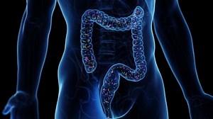3d Rendered Medical Animation Intestinal Microbiome Stock Footage Video (100% Royalty-free) 1096169567 | Shutterstock