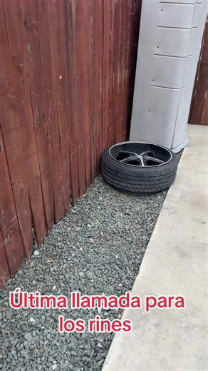 #eltony#paraty#sigume#viral | tony