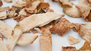 clip-1089629349-angle-view-herb-foshou-citri-sarcodactylis-fructus