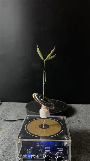 Tesla coil testing #experiment #teslacoil #shorts