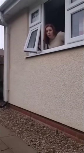 🦊😲 Fox vs Kittens: Woman Shocked #Fox #Kittens #Viral