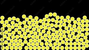 Lemon slices falling from top to bottom and filling the screen. Alpha channel animation video.