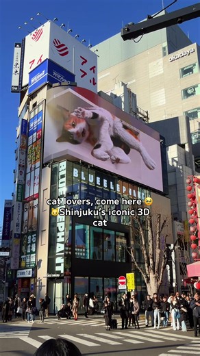 Explore Shinjuku's Iconic 3D Cat Installation