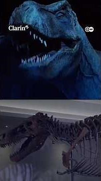 Por qué el Tiranosaurio Rex tenía brazos tan pequeños: el estudio que resolvió el misterio